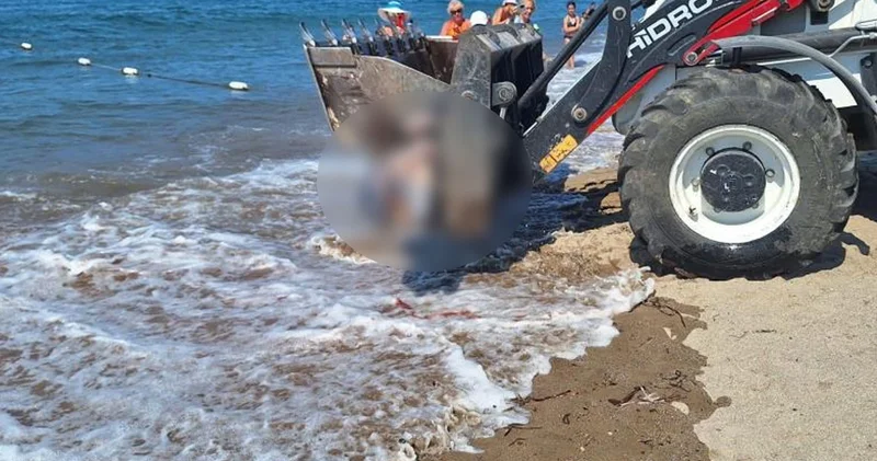 Bodrum’da turistleri şoke eden görüntü!