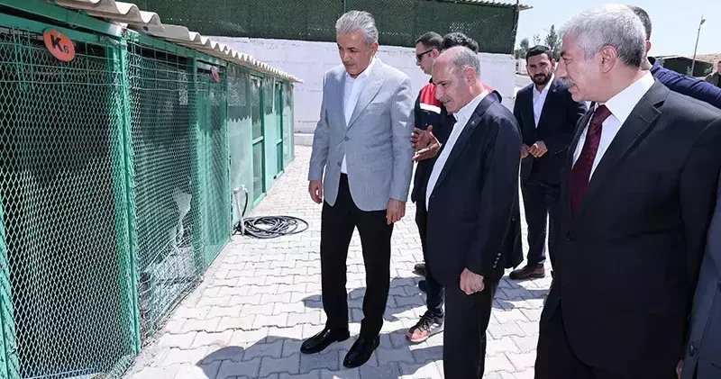 Bakan Yardımcısı Aktaş, sahipsiz hayvanlar için yapılan çalışmaları inceledi