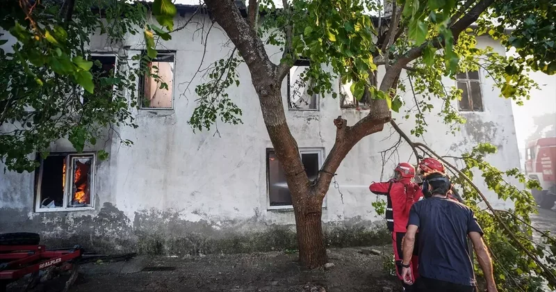 Alevlerin sardığı köyde kayıp büyük: 2 ton yağım vardı, hepsi yandı