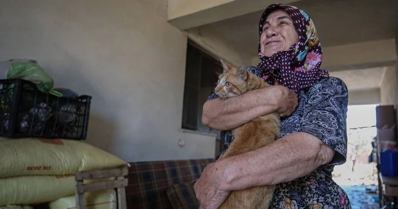 Kedi Boncuk Çanakkale yangınını atlattı! Sahibini görünce acı acı bağırdı