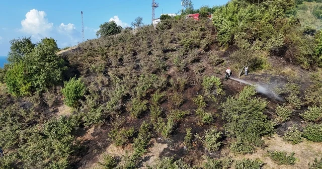 Giresun da fındık bahçelerinde çıkan örtü yangını söndürüldü Giresun Haberleri