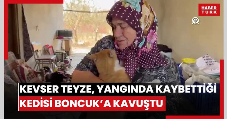 Çanakkalede orman yangınında kaybettiği kedisi Boncuk a kavuşan Kevser teyze mutlu oldu