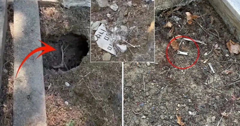İstanbul un göbeğindeki mezarlıkta isyan ettiren görüntüler