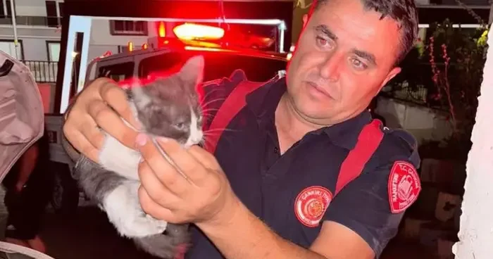 Otomobilin motor kısmına girerek sıkışan yavru kedi ekipleri seferber etti