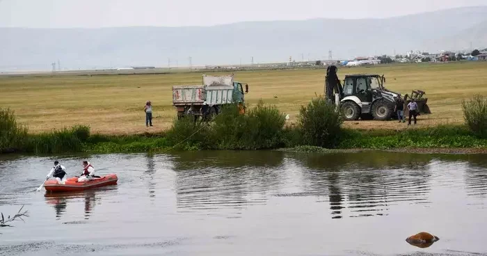 Ardahan Kura nehrine düşerek boğulan inek can verdi! Kepçe yardımıyla çıkartıldı