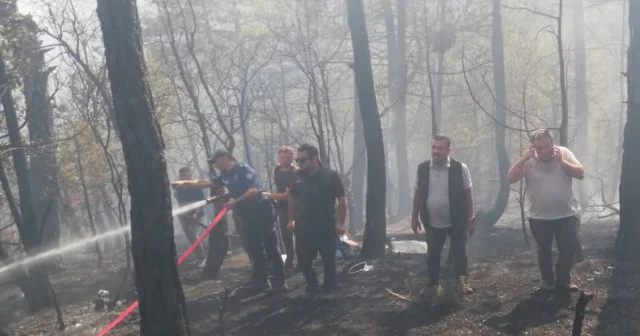 Kastamonu’da çıkan orman yangını kontrol altına alındı: 5 hektar alan zarar gördü VİDEO İZLE
