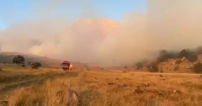 Aksaray’da ağaçlık alanda yangın