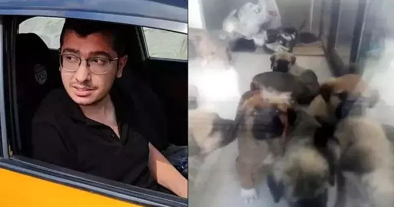 Sahiplendiği köpekleri öldürmekten yargılanan doktorun tahliye talebi reddedildi