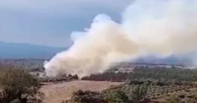 Osmaniye’de orman yangını çıktı VİDEO İZLE