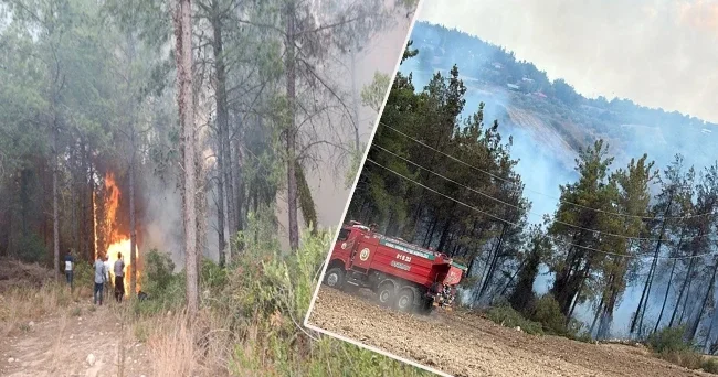 Osmaniye de orman yangını! Alevlerle mücadele başladı