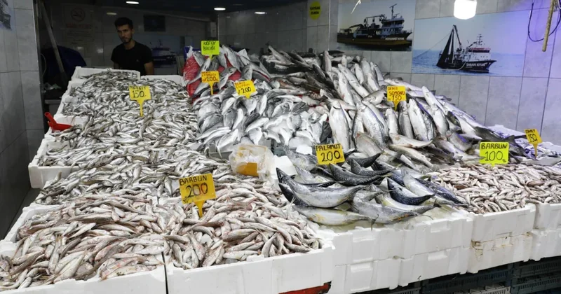 Hamsi, istavrit, barbun ve mezgit bolluğu başladı: Tezgahlarda fiyatlar 100 liradan başlıyor Sözcü Gazetesi
