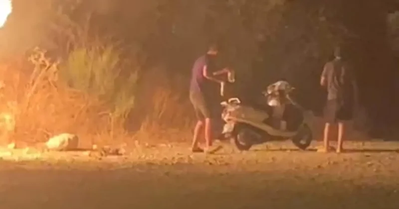 Sabaha karşı motosikletle gelip, ormanı ateşe verdiler!