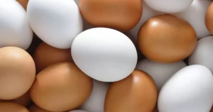 Okullar açıldı yumurtaya rekor zam geldi