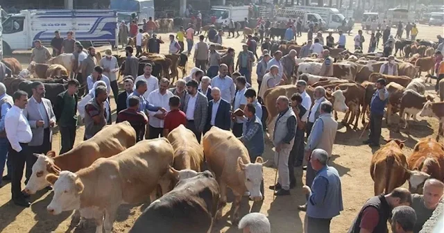 Hayvan pazarları açıldı mı? Hayvan pazarında satışlar başladı mı? Son Dakika Haberleri