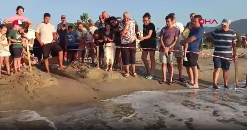 Çöp evden çıkan 469 yavru ilk kez denize koştu