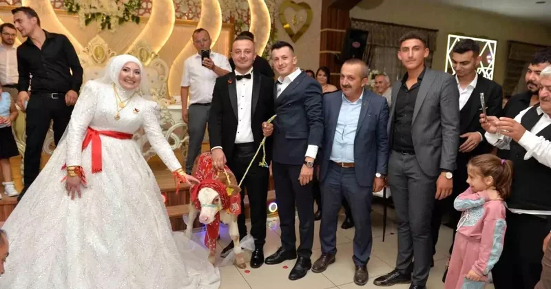 Ne altın, ne para! Yeni evlenen çifte sürpriz hediye
