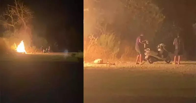 Ormanı ateşe verdiler; o anlar kamerada