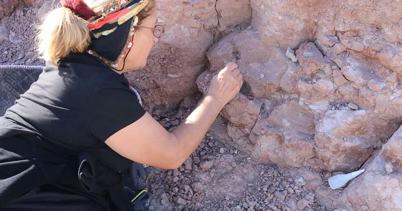 Kazı çalışmalarına ortaya çıktı: Bütünlüğü bozulmamış kafatası...
