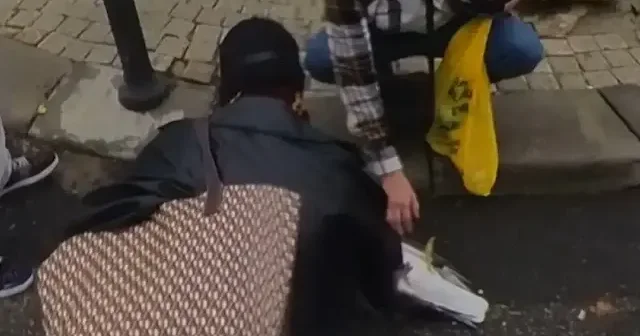 Direğe çarpıp düşen martıya kalp masajı yaptılar VİDEO İZLE