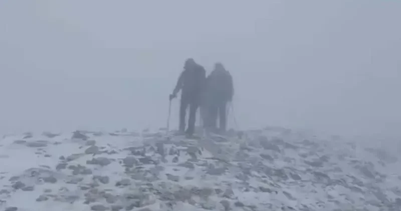 Uludağ ın zirvesi beyaza büründü