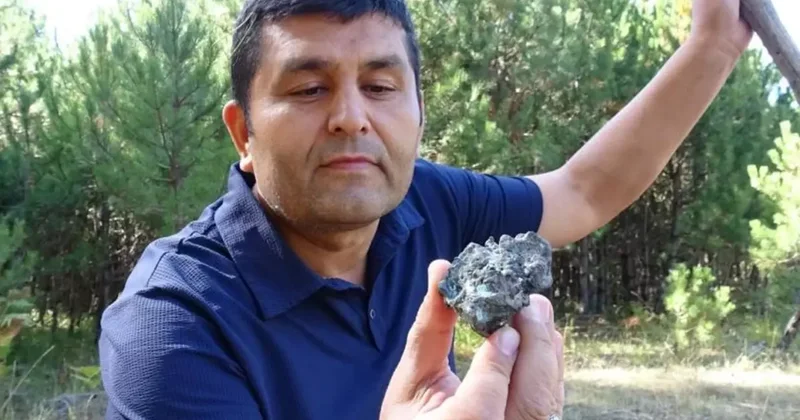 Mantar toplarken göktaşı buldu