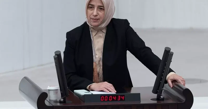 Sözleri tepki çeken Özlem Zengin, kürsüye çıkıp düzeltme yaptı