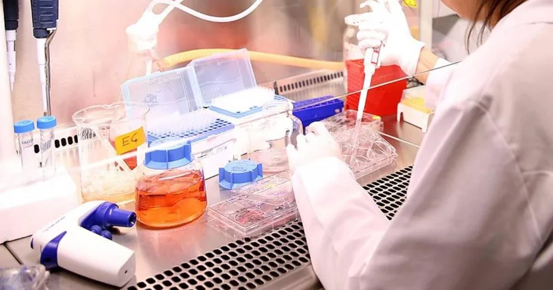 Bilim insanları, hücreleri genç kalmaları için kandıran besin moleküllerini keşfetti