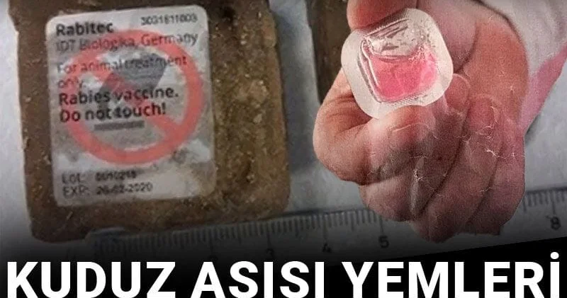 Diyarbakır da büyük panik! Kuduz aşısı yemleri halkın üzerine atıldı
