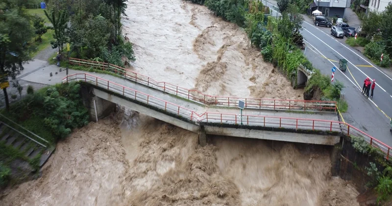 Rize deki selin bilançosu belli oldu
