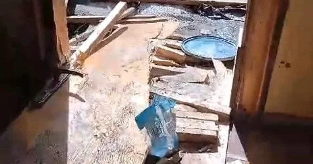Yiyecek arayan ayılar, 8 köy evine zarar verdi Rize Haberleri