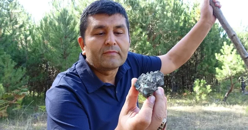 Karabük te ilginç olay! Mantar toplamaya gittiği ormanda buldu: Diğerlerinden çok farklı...