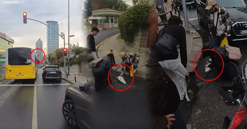Otobüse çarpan martı kalp masajıyla hayata döndü Sözcü Gazetesi