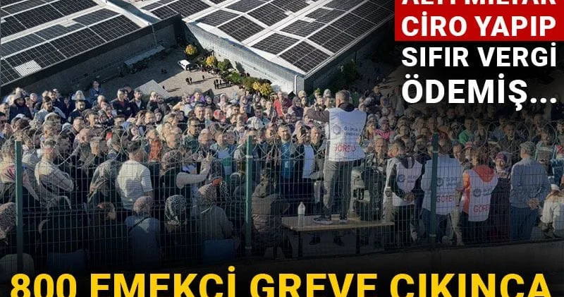 800 emekçi greve çıkınca valilik yasak getirdi! O şirket altı milyar ciro yapıp sıfır vergi ödemiş...
