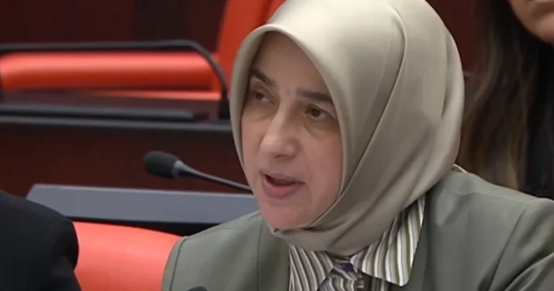 AKP li Özlem Zengin, uçak sözleri tepki görünce geri adım attı Sözcü Gazetesi