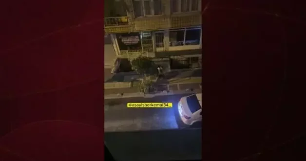 İstanbul da pitbull cinsi köpek sahibine saldırdı!