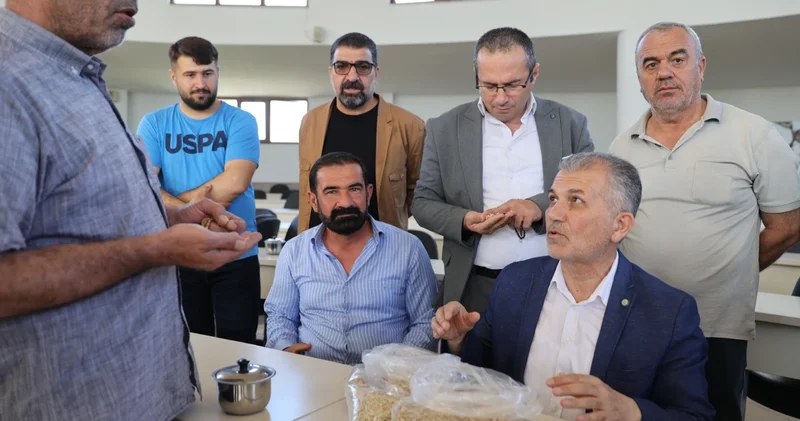 Mardin de sezonun ilk arpa hasadı yapıldı