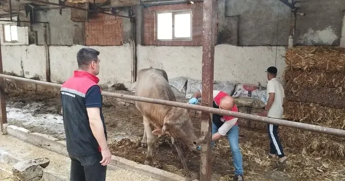 Çorum’da hayvan pazarları kapatıldı