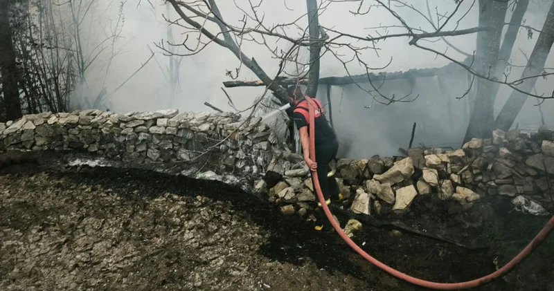 Kütahya da 4 kümes yandı; 100 tavuk öldü