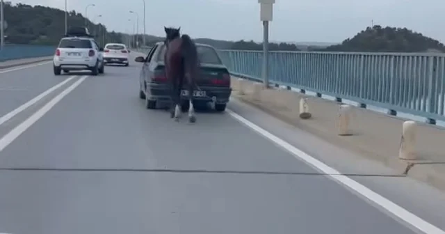 Otomobile bağladığı at ile ilerledi; 2 gözaltı Adana Haberleri
