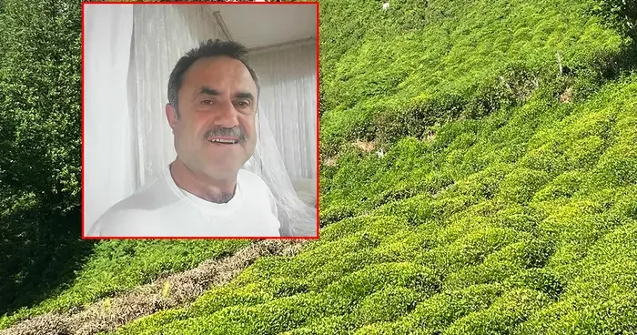 Artvin de Kafkas engereği kabusu: Hastane hastane panzehir aradılar!