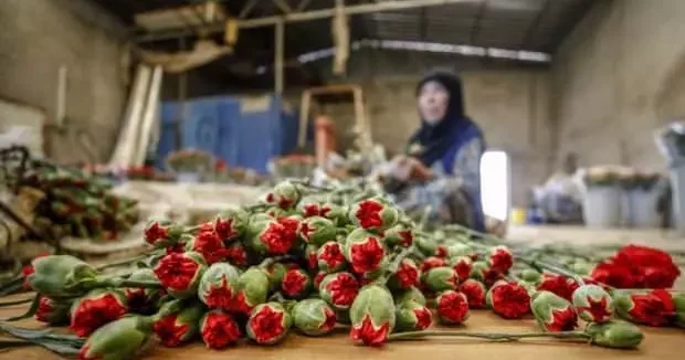 Gaziantep haberleri Türkiye de bir ilk: Gaziantep te Anne Bebek Festivali başlıyor 10 Mayıs 2025