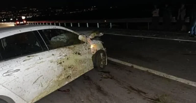 Otomobil sürüye daldı: 15 koyun telef oldu