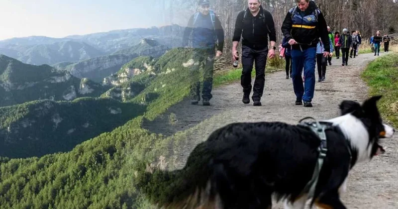 Tehlike pusuda bekliyor! Almanya da distemper virüsü yayılıyor: Çoğu kurtarılamayacak! Sözcü Gazetesi