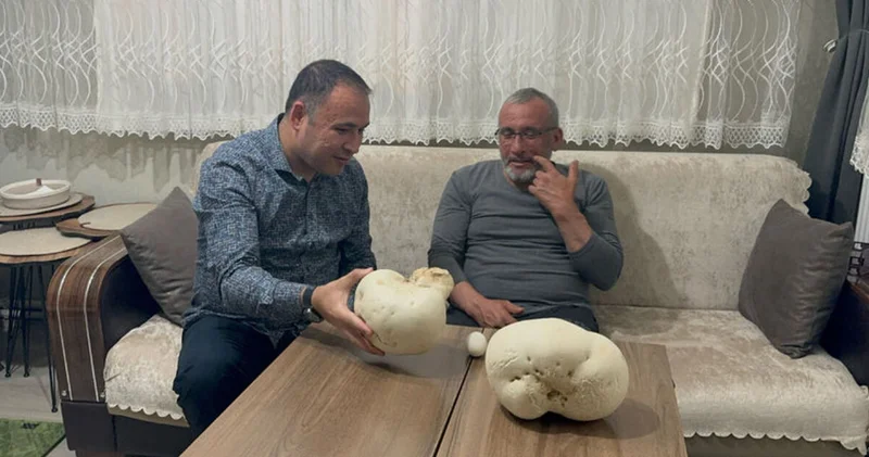 Isparta da doğa yürüyüşünde dev mantarlar buldu Son dakika haberleri
