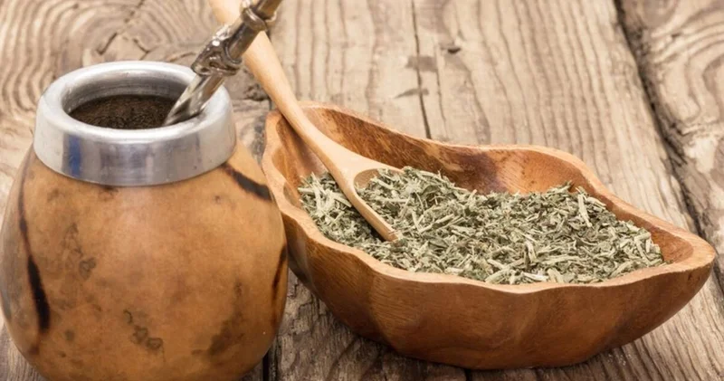 Mate Çayı Faydaları ve Kullanımı Mate Çayı En Çok Nelere İyi Gelir, Zayıflatır Mı ve Faydaları ile Zararları Neler? Sağlık Haberleri