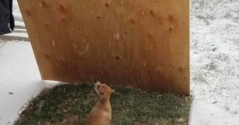 Hepimizin yaşadığı günlük problemlere harika bir çözüm bulan kişiler
