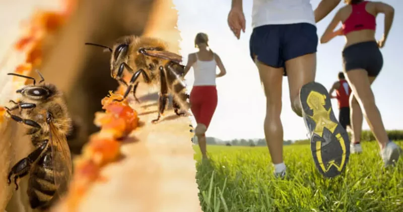 Profesyonel sporcuların sırrı: Kasları çelik gibi yapıyor, enerji veriyor, sakatlıkları anında iyileştiriyor!