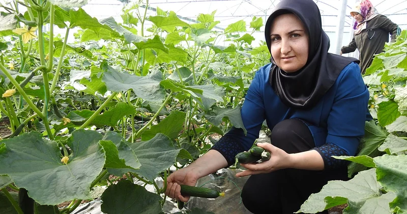 Seracı kadınlar günlük 500 kilo ürün alıyor
