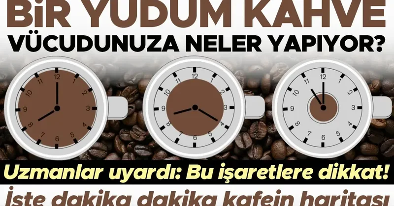 Uzmanlar uyardı: Bir yudum kahve vücudunuza neler oluyor? İşte dakika dakika kafein haritası… Bu işaretlere dikkat!