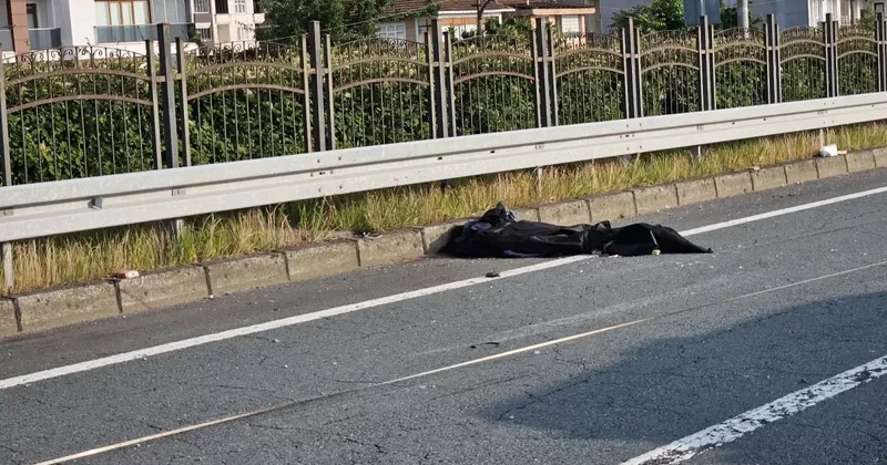 Rize de Kaza: Araçta Arı Panik Yarattı